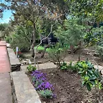 Casa Con Giardino, Vista Mare, Wi-fi E Aria Condizionata Διαμέρισμα Stintino