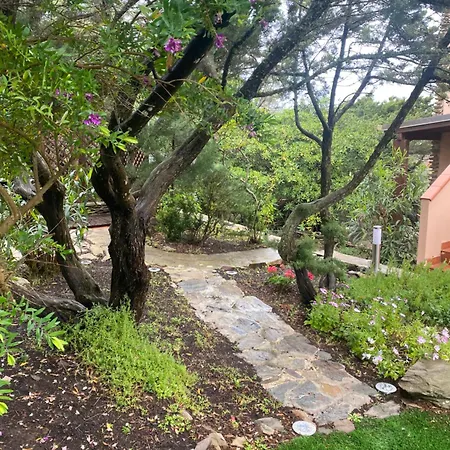 Casa Con Giardino, Vista Mare, Wi-fi E Aria Condizionata * Stintino